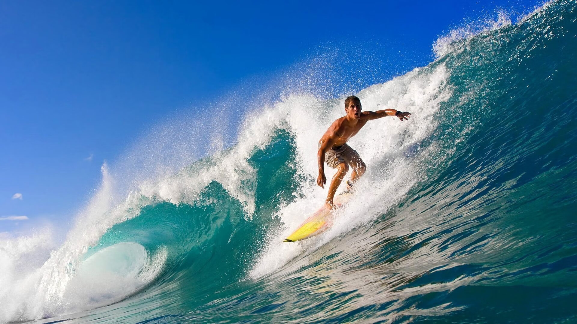 哈斯克女子100米自由泳决赛亮点纷呈，哈斯克 游泳